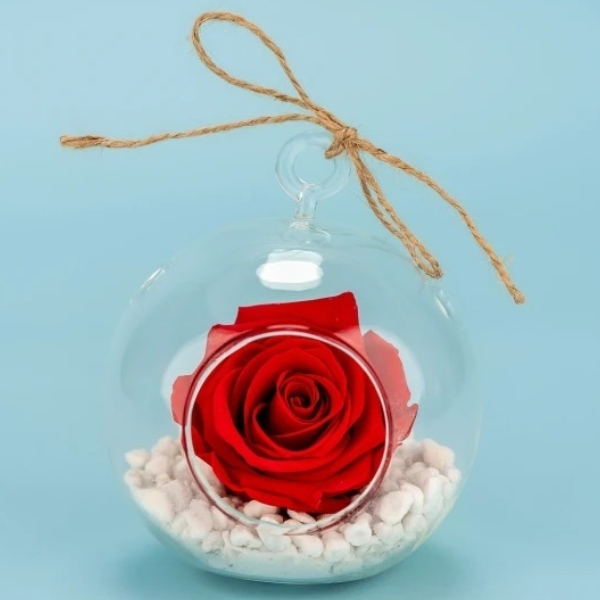 Preserved Red Rose Orb