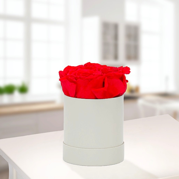 Red Roses in a Hat Box