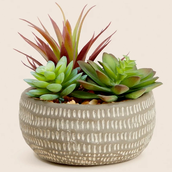 Artificial Succulents in Pot