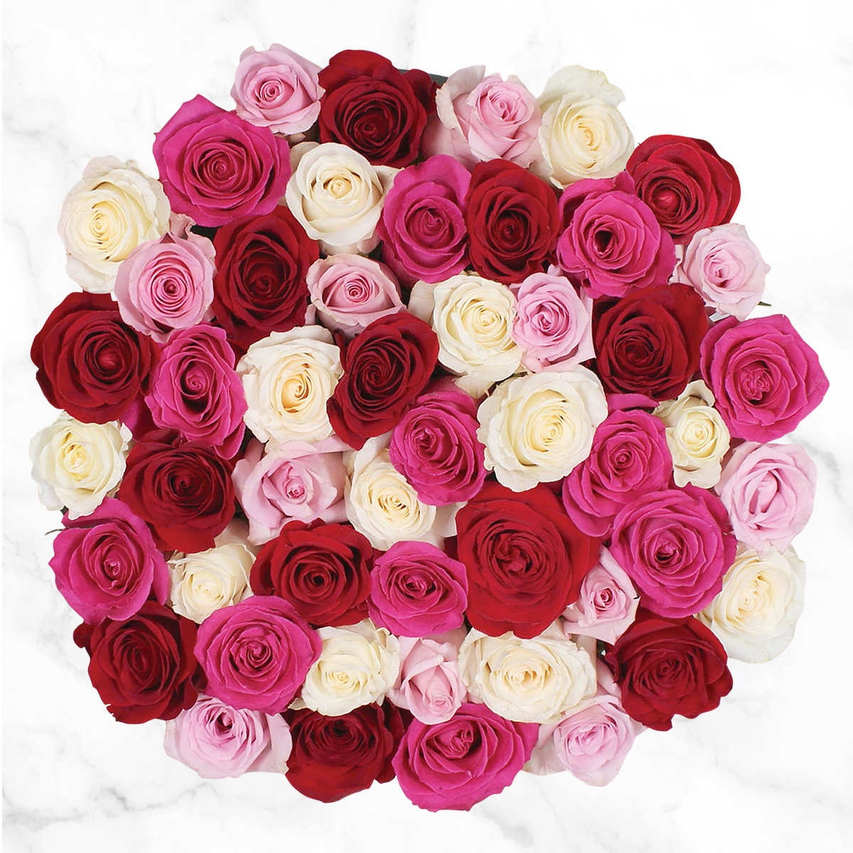 50 Pink Quad Roses