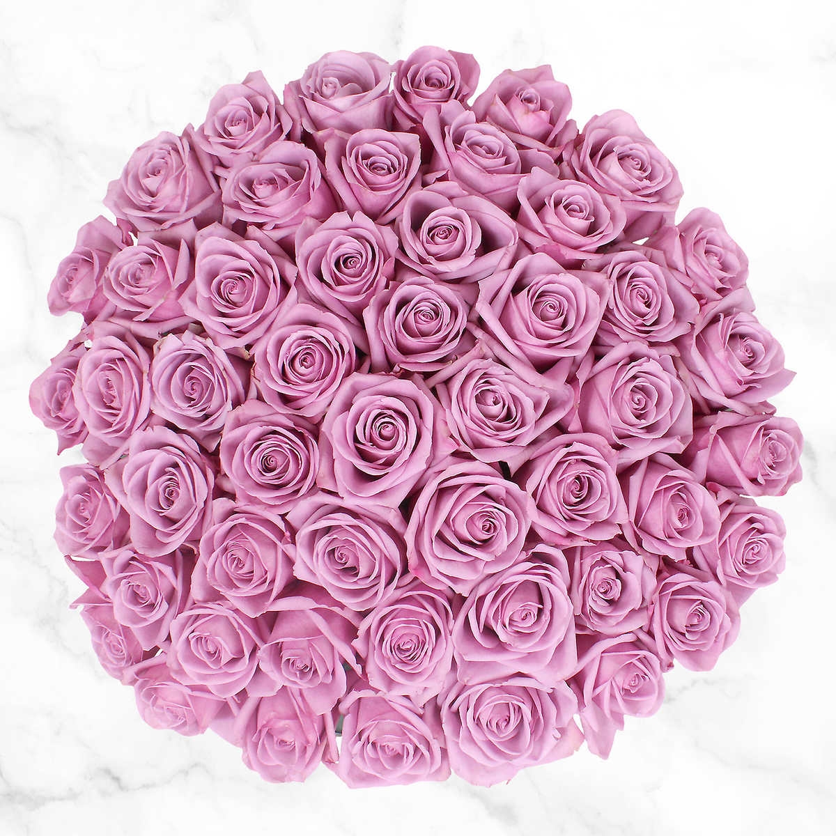 50 Lavender Roses