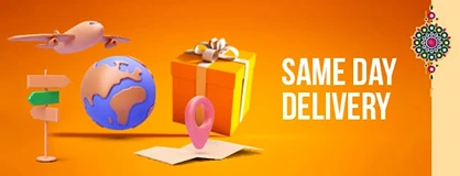 Send Same Day Delivery Gifts 